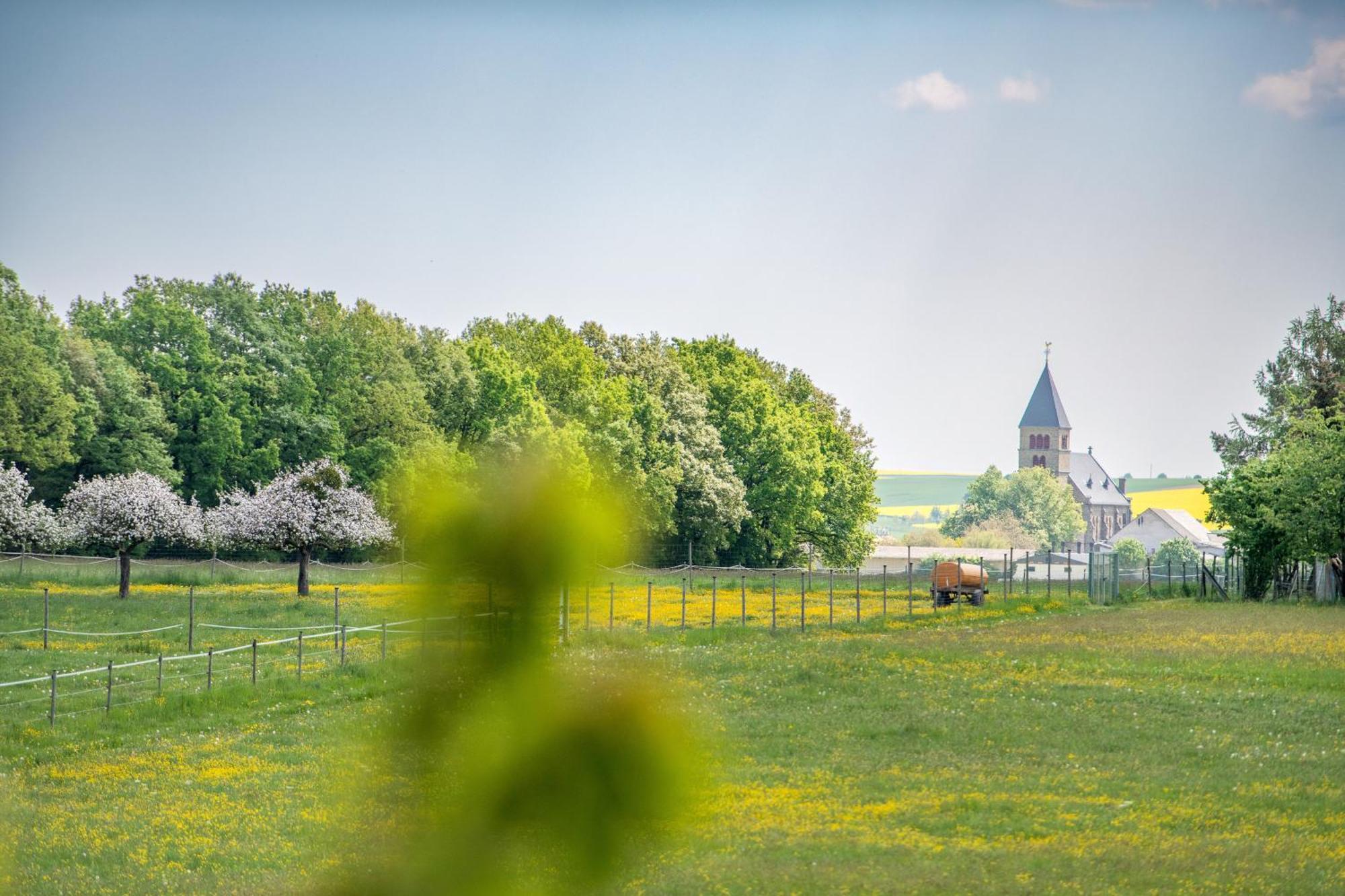 Waldesblick, Hotel-Restaurant Lahr  Extérieur photo